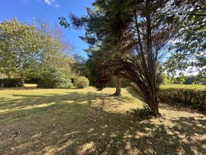 Photo 40- click for photo gallery